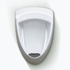 Basic Screen - 30+ days: Black - Mint (1pc)