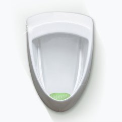 Basic Screen - 30+ days: Green - Apple (1pc)