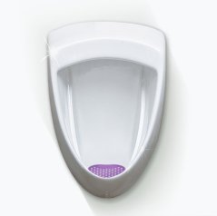 Basic Screen - 30+ days: Purple - Lavender (1pc)