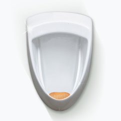 Basic Screen - 30+ days: Orange - Tropical fruit (1pc)