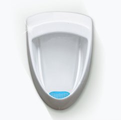 Basic Screen - 30+ days: Blue - Mango (1pc)