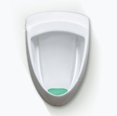 Basic Screen - 30+ days: Green - Pine (1pc)