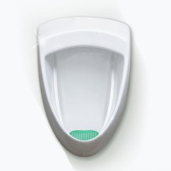 Basic Screen - 30+ days: Green - Pine (1pc)