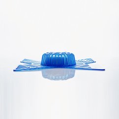 Xcreen Puck: Blue - Fresh (1pc)